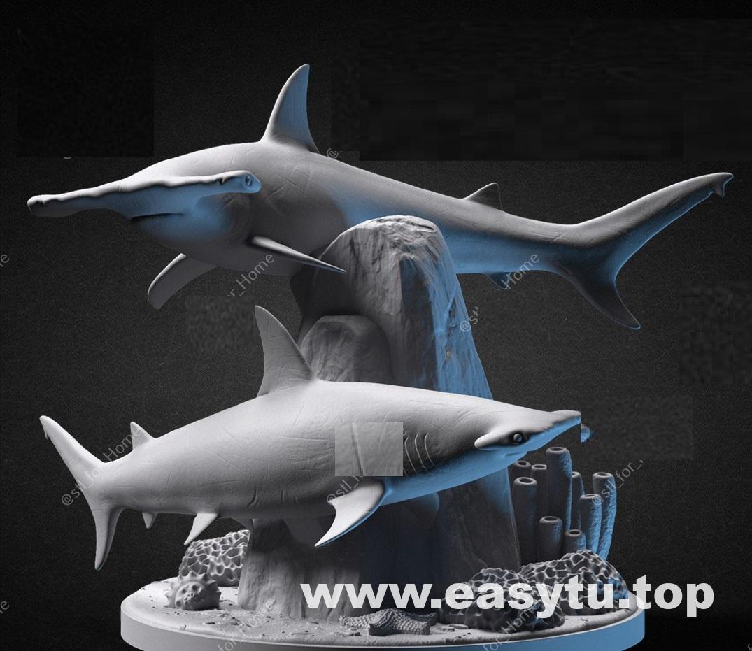 鲨鱼造景