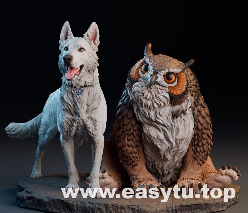 狗和猫头鹰