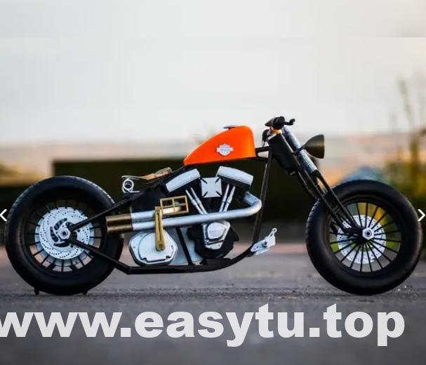 哈雷 戴维森摩托车