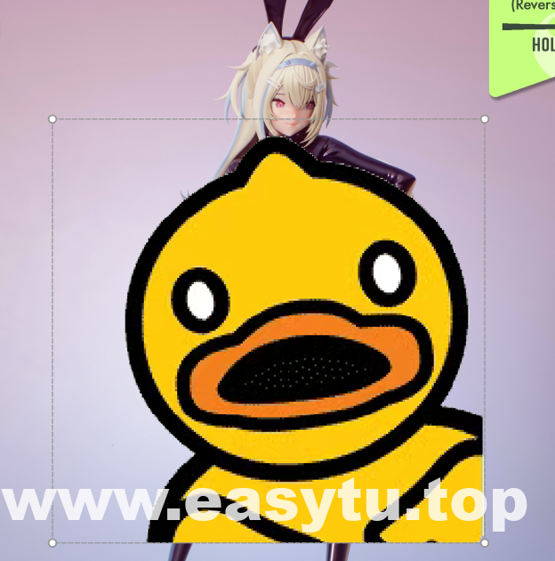 猫耳兔女郎少女